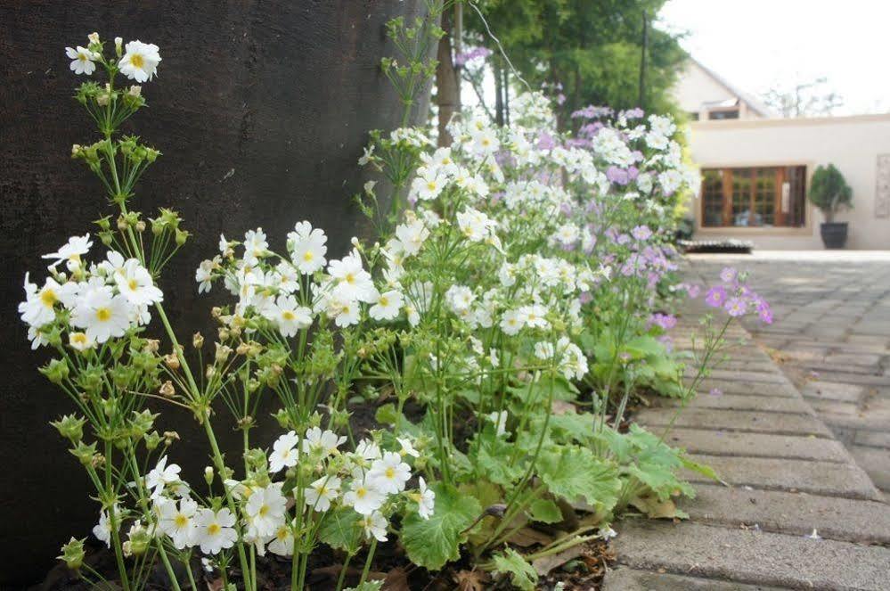 דנדי The Lapha Guesthouse & Conference Centre מראה חיצוני תמונה